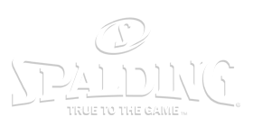 sponsor image